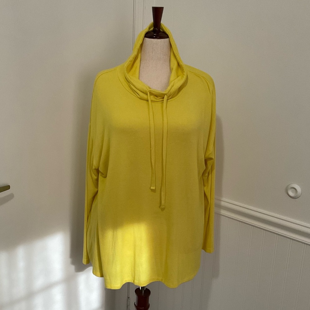 Lane Bryant Lightweight Sweatshirt